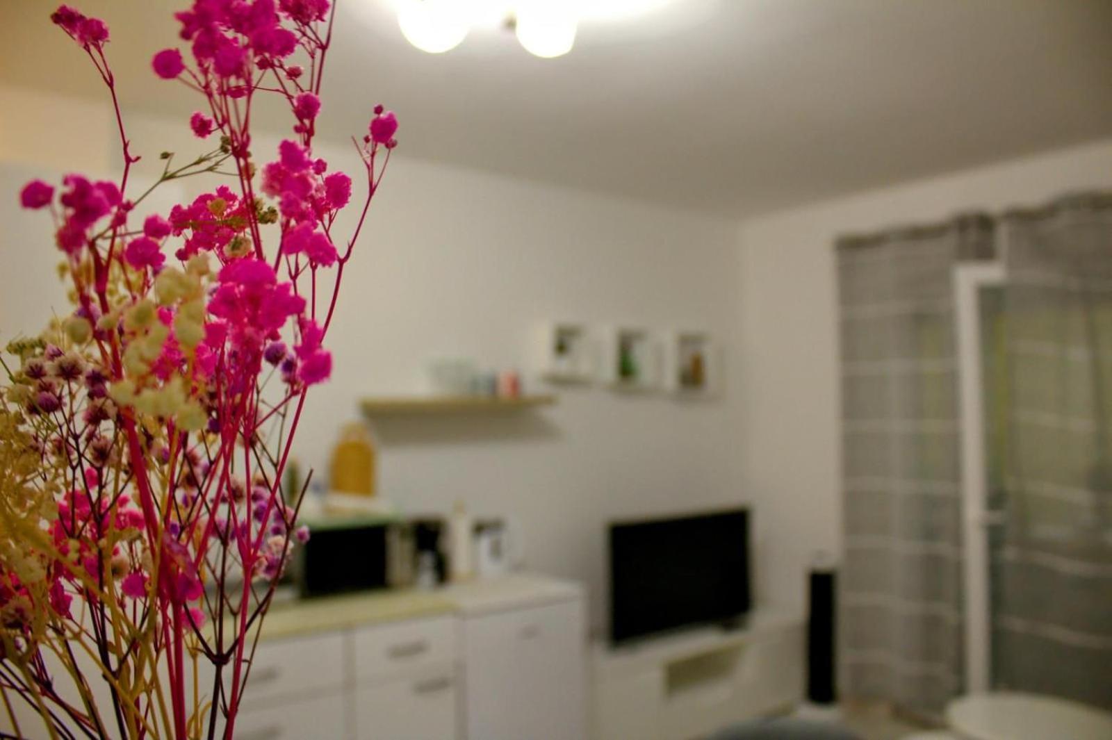 Apartment Danijela Zadar Exterior photo